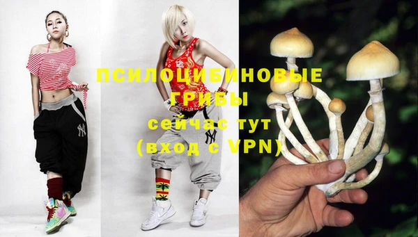Альфа ПВП Алексин