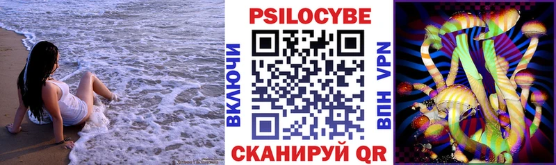 закладка  блэк спрут маркетплейс  Галлюциногенные грибы мицелий  Гаджиево 